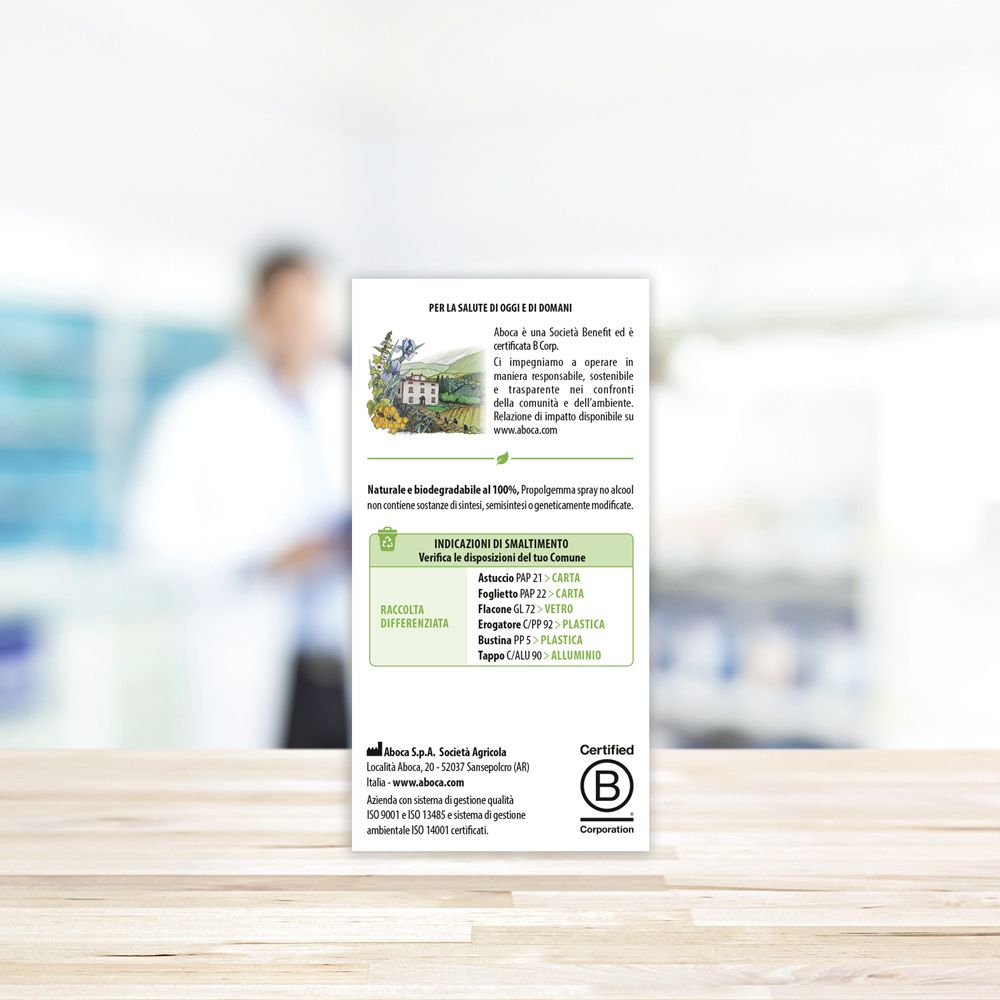 Rückseite der Produktverpackung. Enthält Text, Informationen und ein B-Corp-Zertifikat.