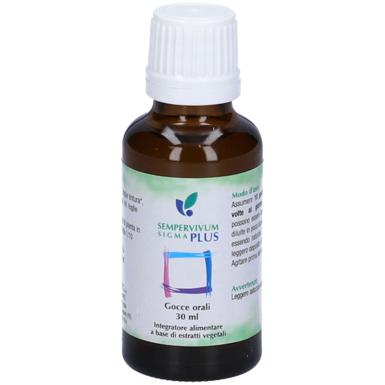 Sempervivum Sigma Plus