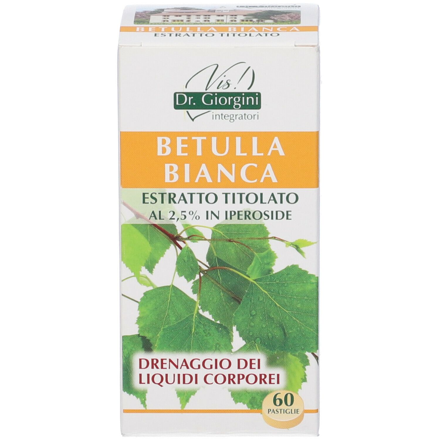 Scatola con scritta: Betulla Bianca, estratto, 60 pastiglie. Dr. Giorgini. Illustrazione di foglie.