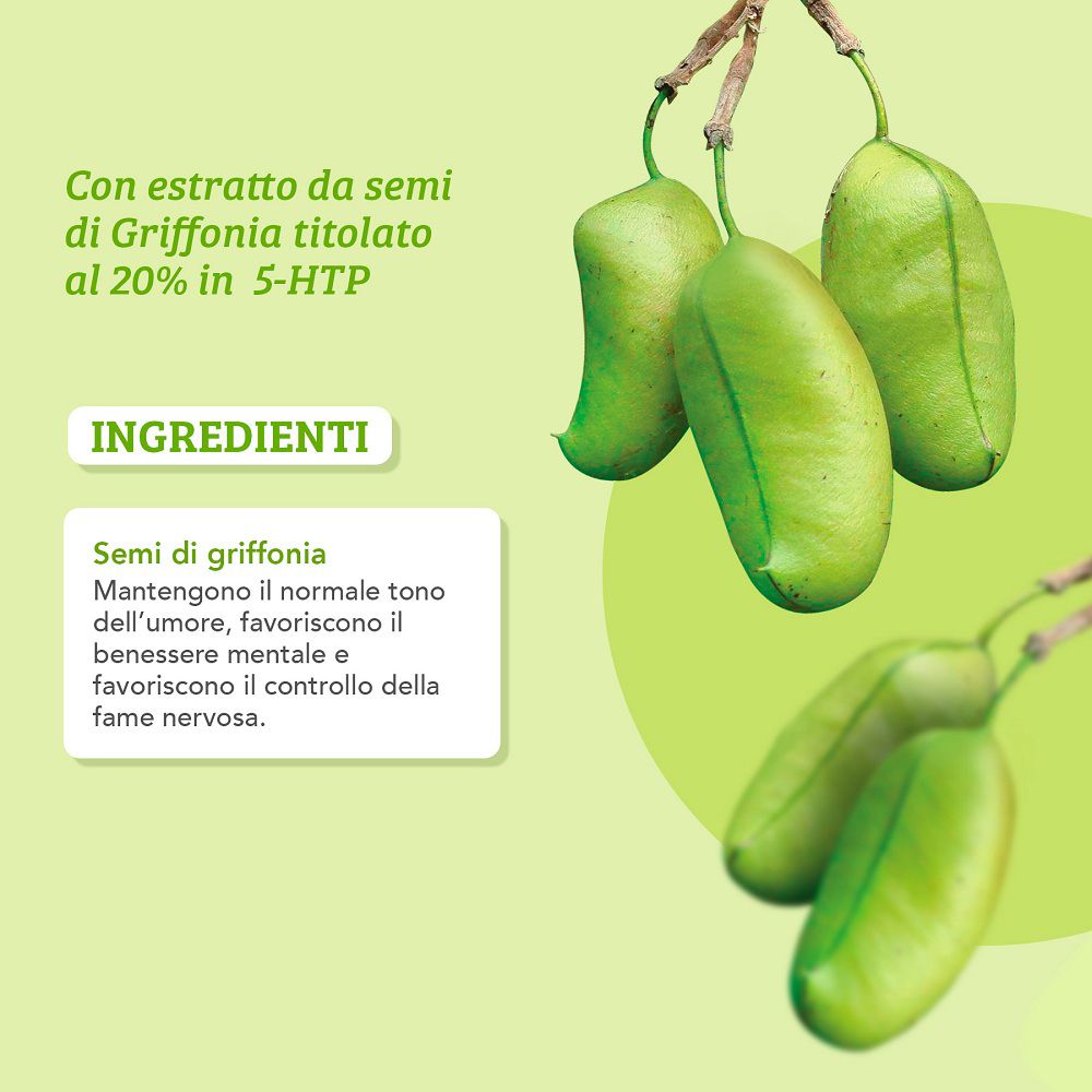 Nahaufnahme von grünen Griffonia-Samen und Text über Inhaltsstoffe und deren Vorteile für Stimmung und mentale Gesundheit.