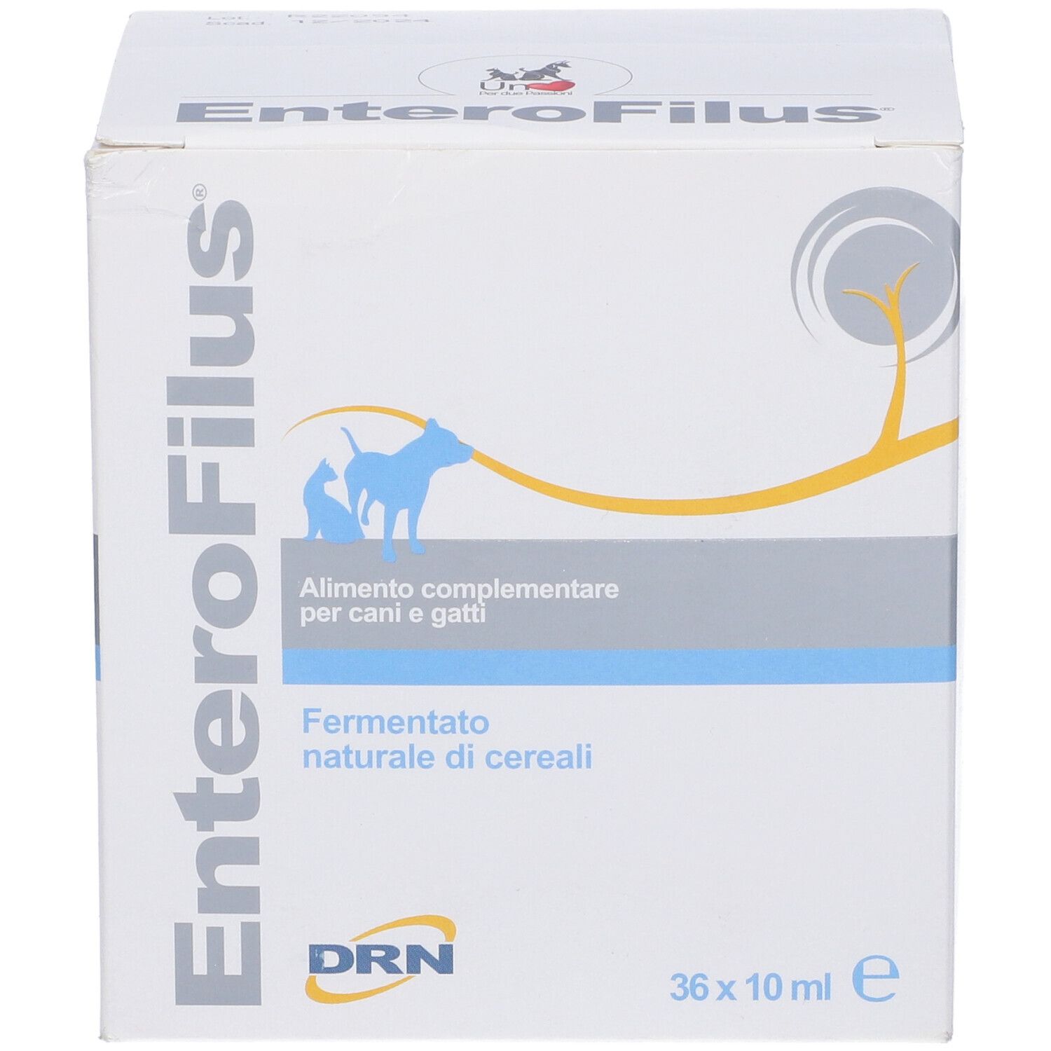 Scatola 'EnteroFilus' per cani e gatti. 36 flaconi da 10 ml. Marchio DRN.
