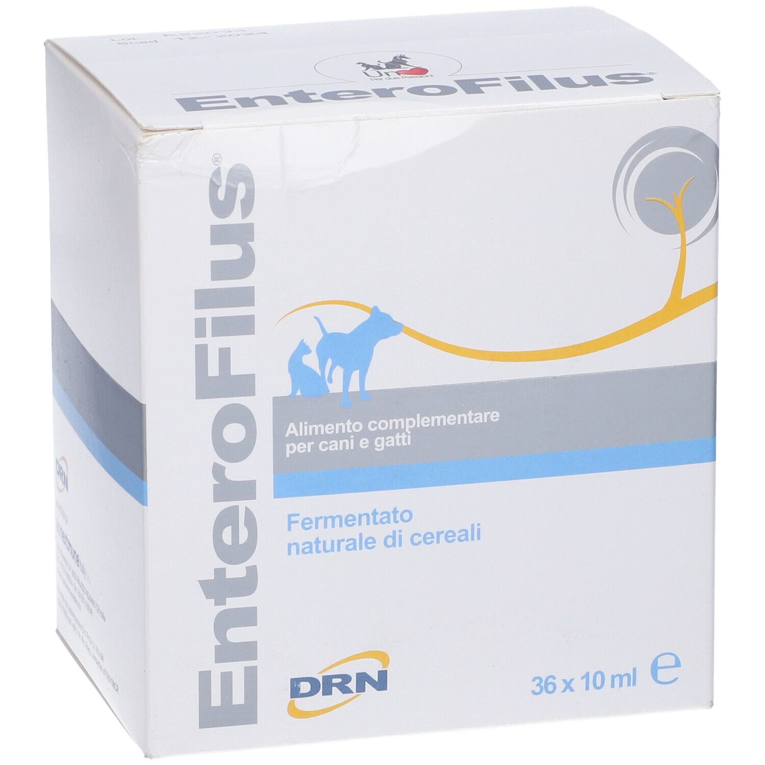 Scatola 'EnteroFilus' per cani e gatti. 36 flaconi da 10 ml. Marchio DRN.