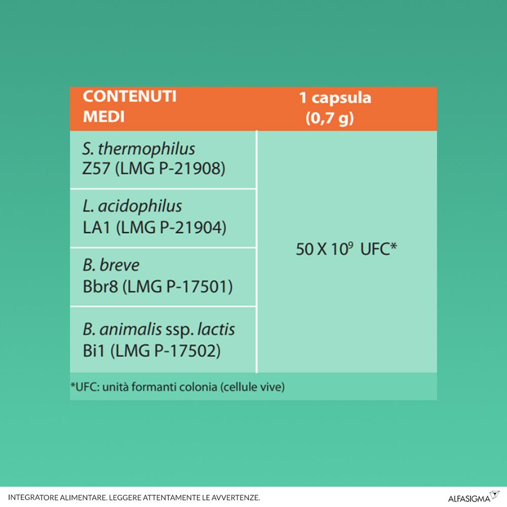 Ingredienti di Yovis Caps: S. thermophilus, L. acidophilus, B. breve, B. animalis. Marchio AlfasiGMA.