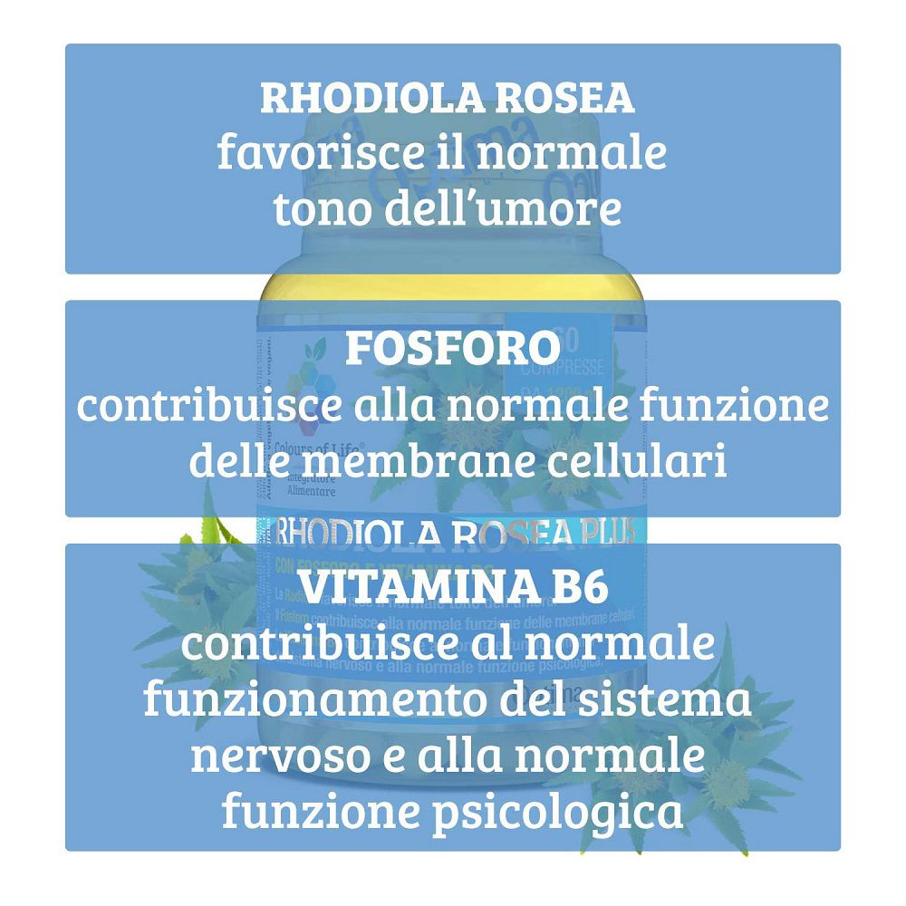 Informationen zu Rhodiola Rosea, Phosphor und Vitamin B6 für Stimmung, Zellmembranen und Nervensystem.