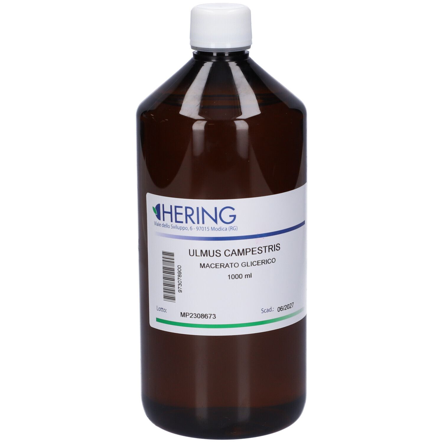 HERING Ulmus Campestris Macerato Glicerico