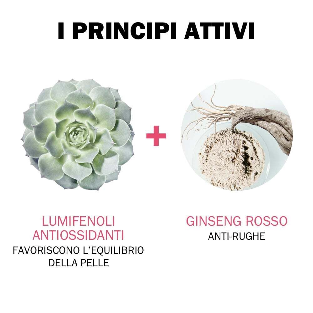 Testo: I PRINCIPI ATTIVI. Immagine: pianta e radice. Testo: LUMIFENOLI ANTIOXIDANTI, GINSENG ROSSO ANTI-RUGHE.