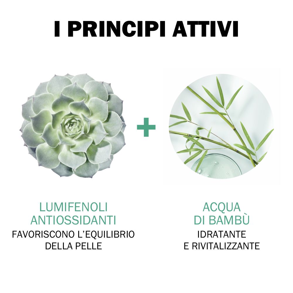 Grafica con ingredienti: Lumifenoli Antioxydants e Acqua di bambù.