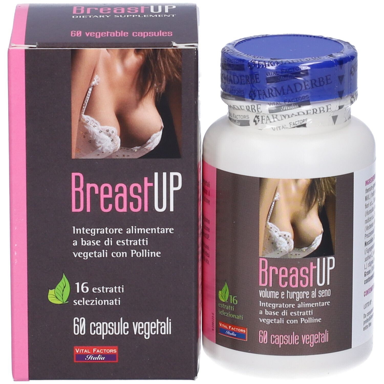 Confezione del prodotto con flacone. Scatola e flacone con immagine del prodotto e testo: BreastUP, 60 capsule.