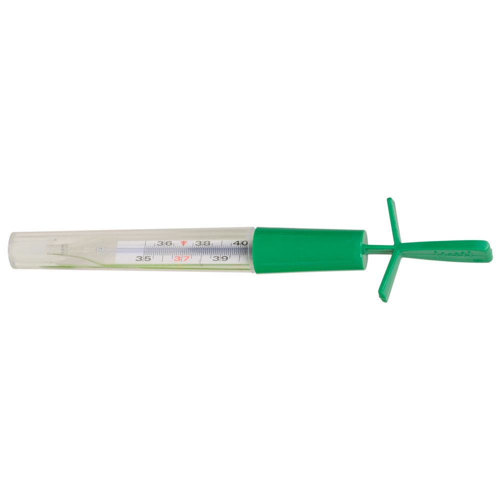 Ökologisches Thermometer Gallio Gima Schnellablasssystem Gima