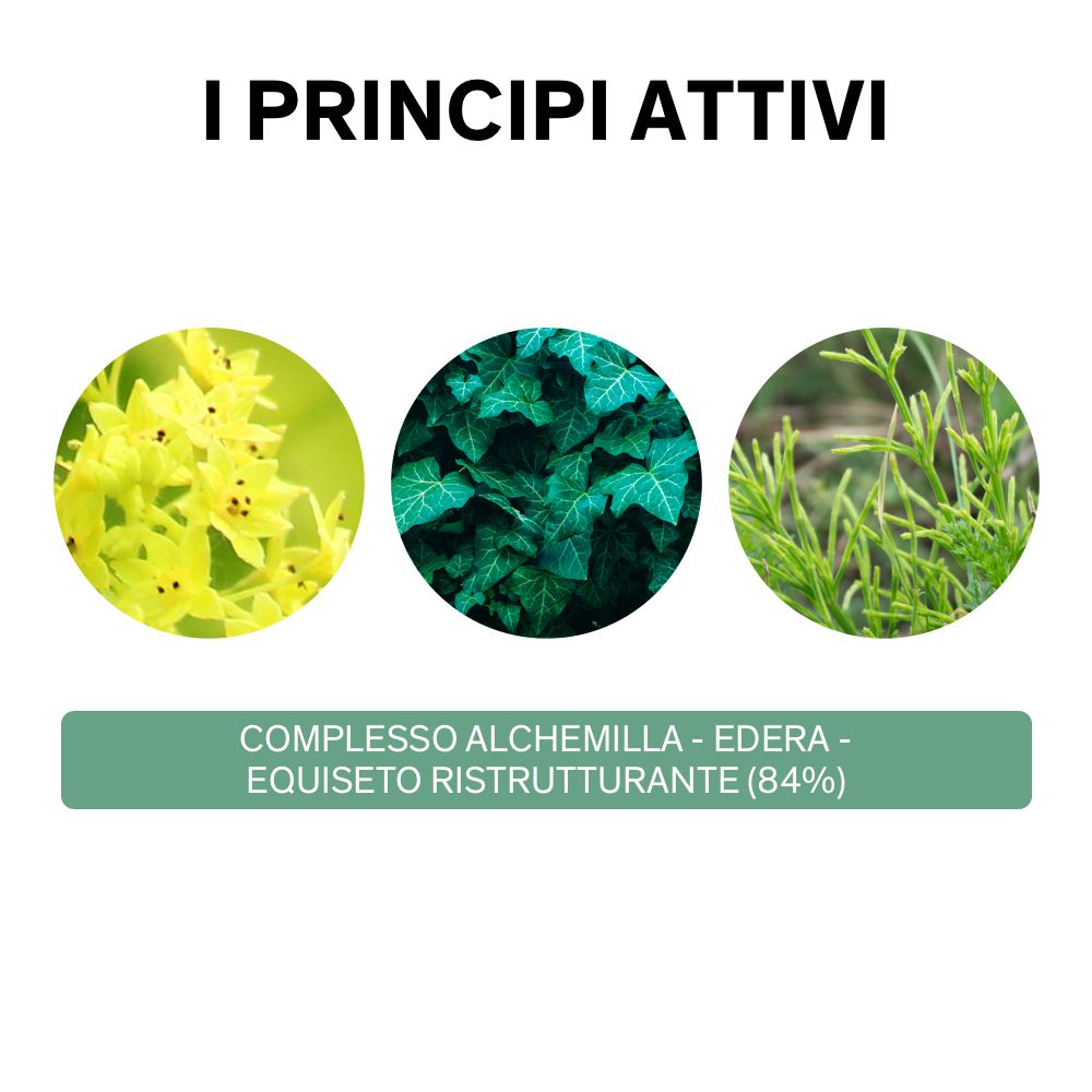Tre cerchi con immagini di piante. Testo: Complesso Alchemilla - Edera - Equiseto ristrutturante (84%).