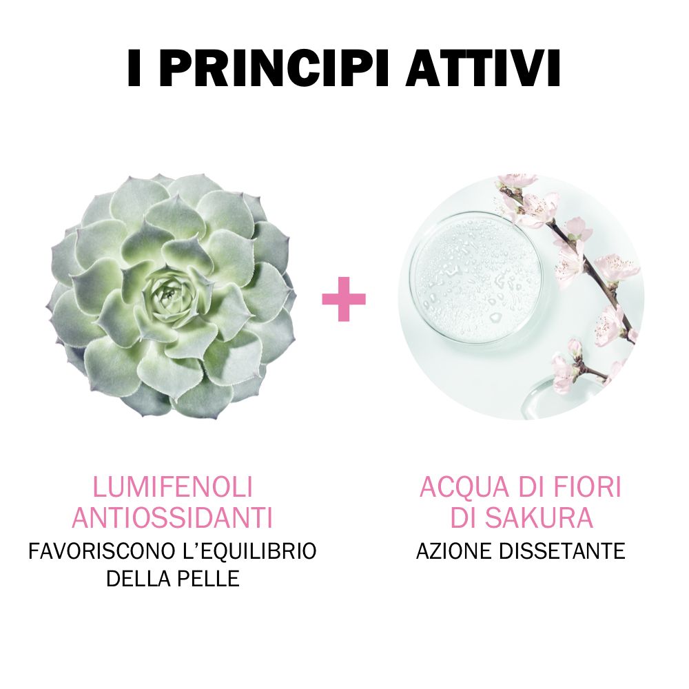 Due illustrazioni: succulenta e fiori. Testo: Lumifenoli antiossidanti, Acqua di fiori di sakura.