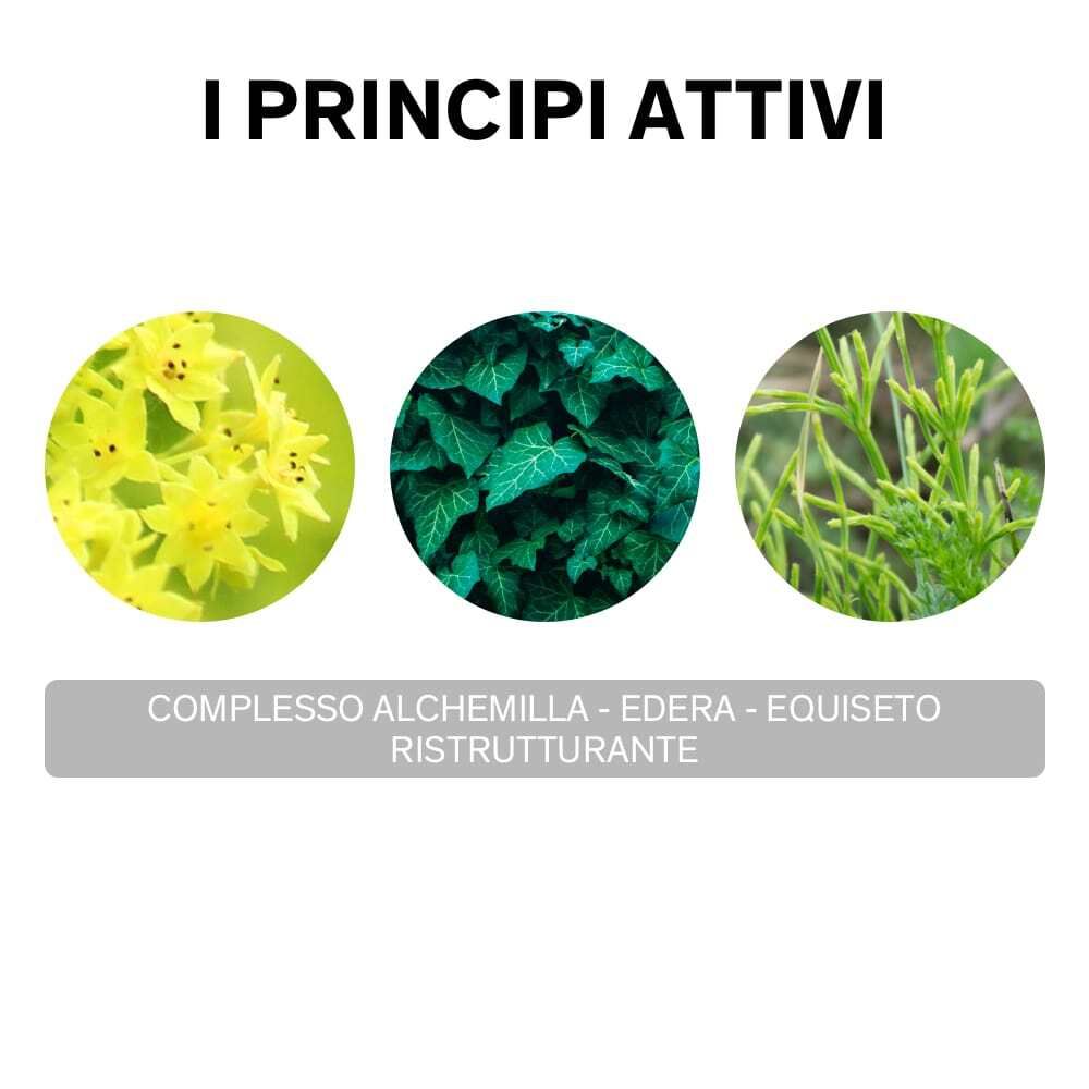 Trois cercles avec images de plantes: fleurs jaunes, feuilles vertes, aiguilles vertes. Texte: Complesso Alchemilla-Edera-Equiseto.