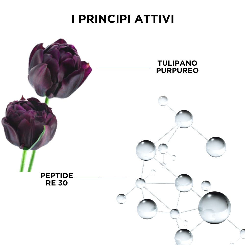 Graphique avec tulipes violettes et structure moléculaire. Inscription: Peptide RE30, tulipe.