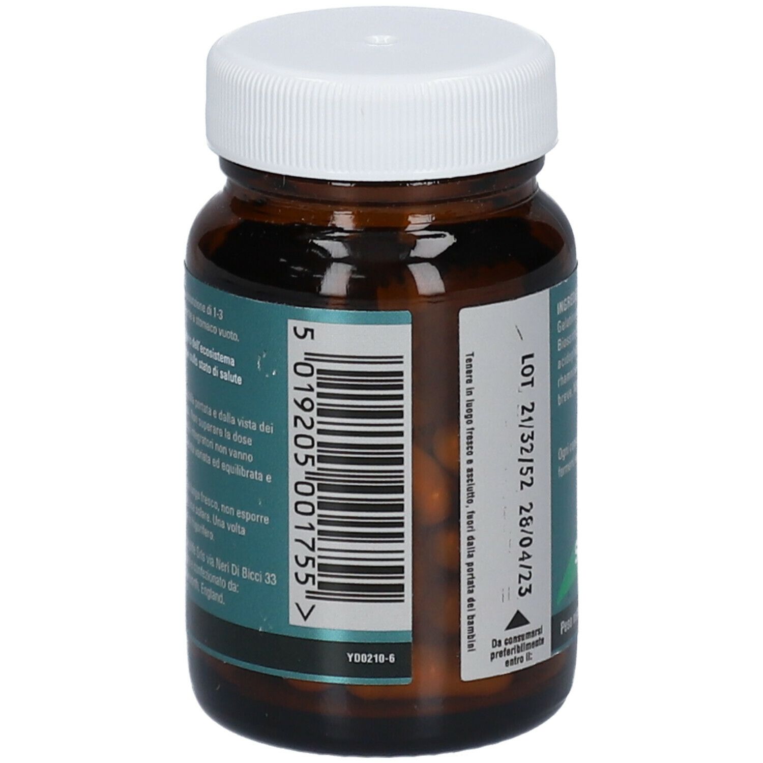 Flacone di vetro marrone con tappo bianco. Retro con codice a barre e testo. Scritta LIFEPLAN Bifidophilus.