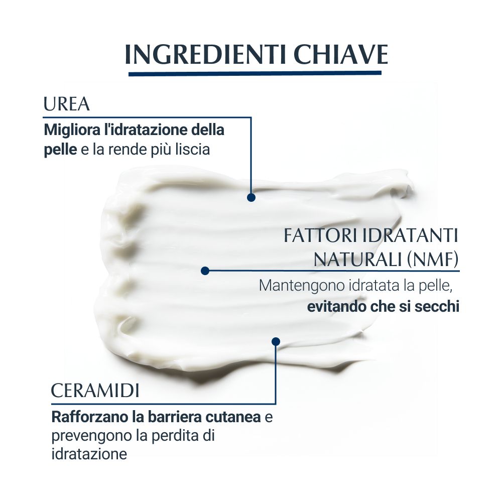 Primo piano: Ingredienti. Urea, fattori idratanti naturali (NMF), ceramidi. Testo: Migliorano l'idratazione, rafforzano la barriera cutanea.