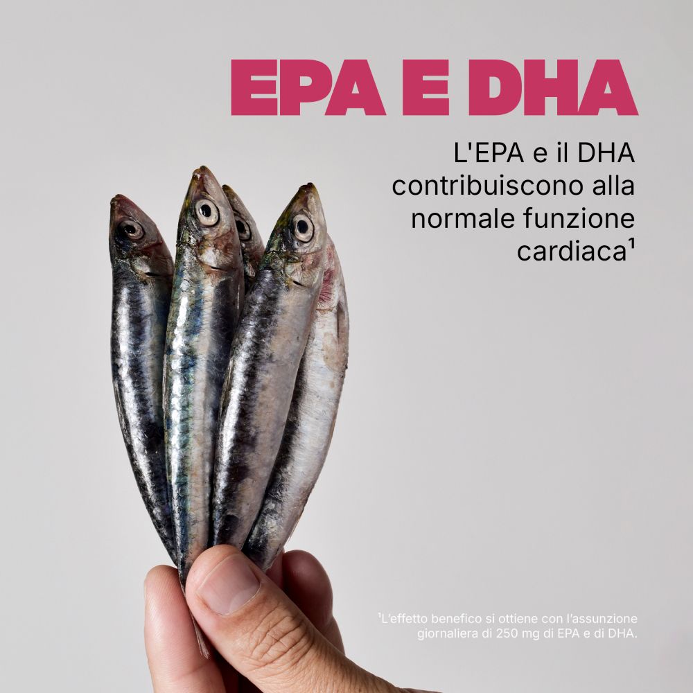 Hand hält Sardinen. Text: EPA und DHA. Text über die normale Herzfunktion.
