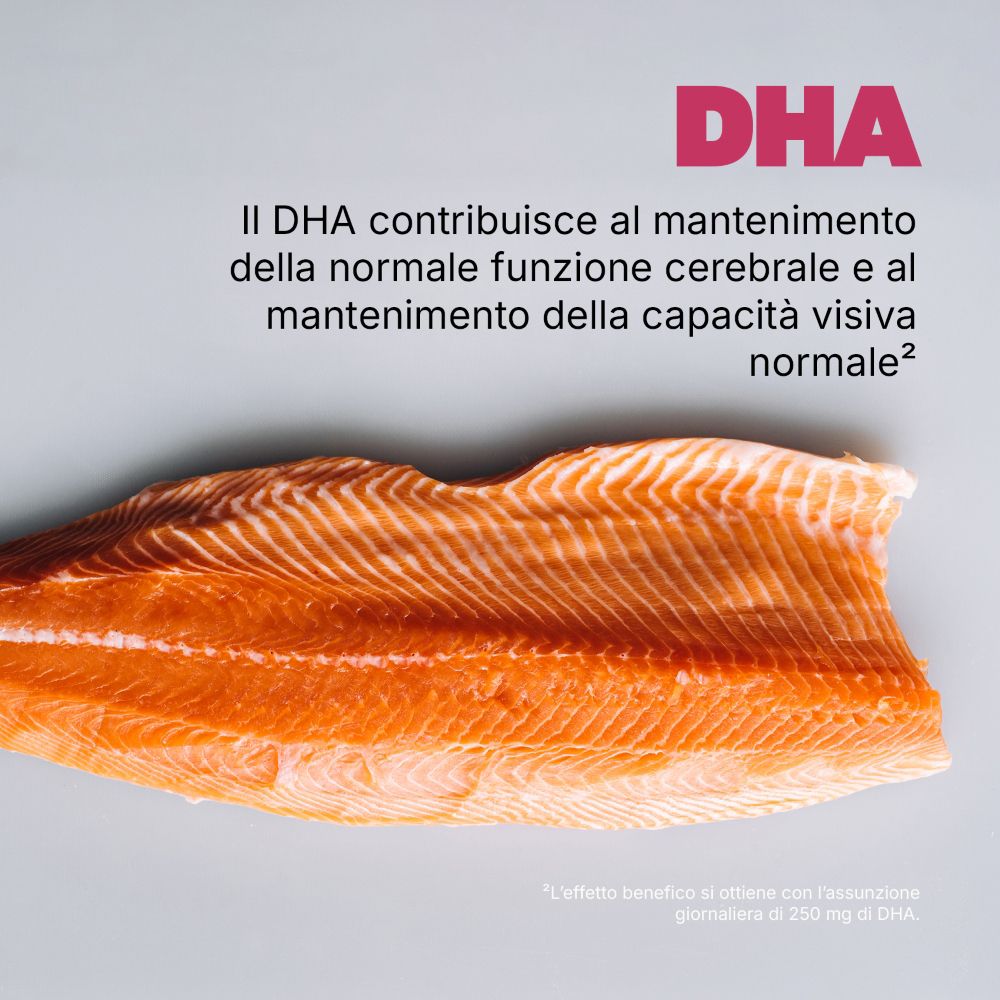 Lachsfilet. Text: DHA. Text über die normale Gehirnfunktion und Sehfähigkeit.