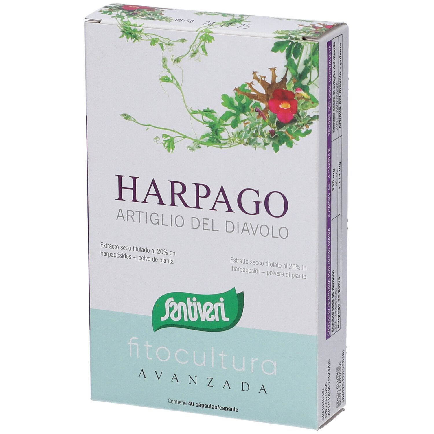 Harpago Artiglio Del Diavolo