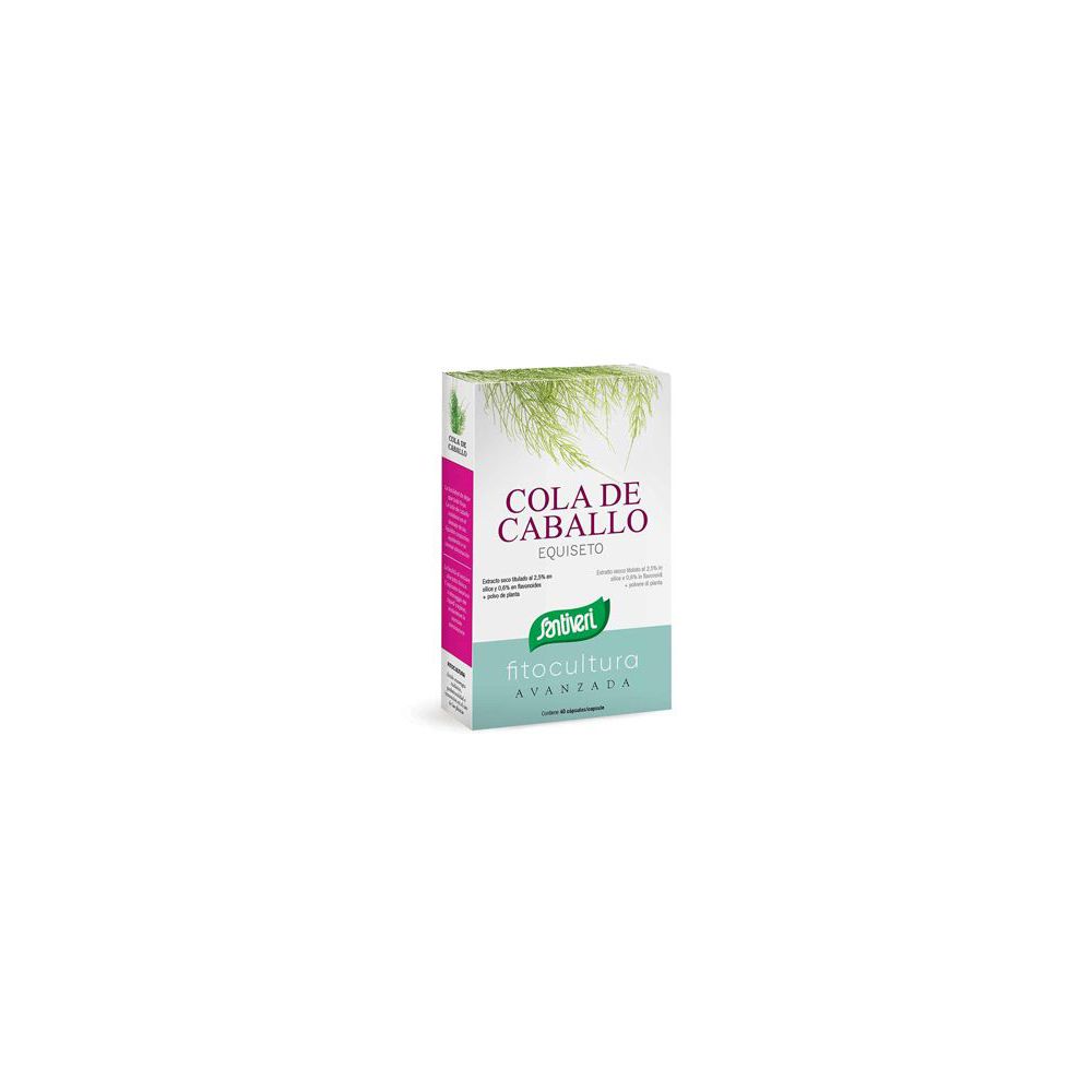 Equiseto 40 Capsule