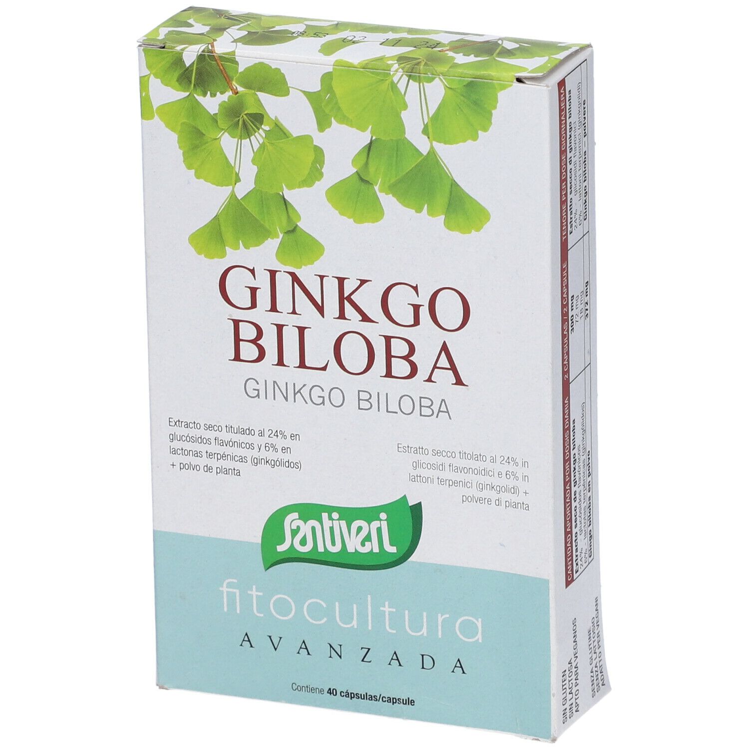 Scatola di Ginkgo Biloba. Scritta: Ginkgo Biloba, Santiveri, Fitocultura. Contiene 40 capsule. Confezione verde e bianca.