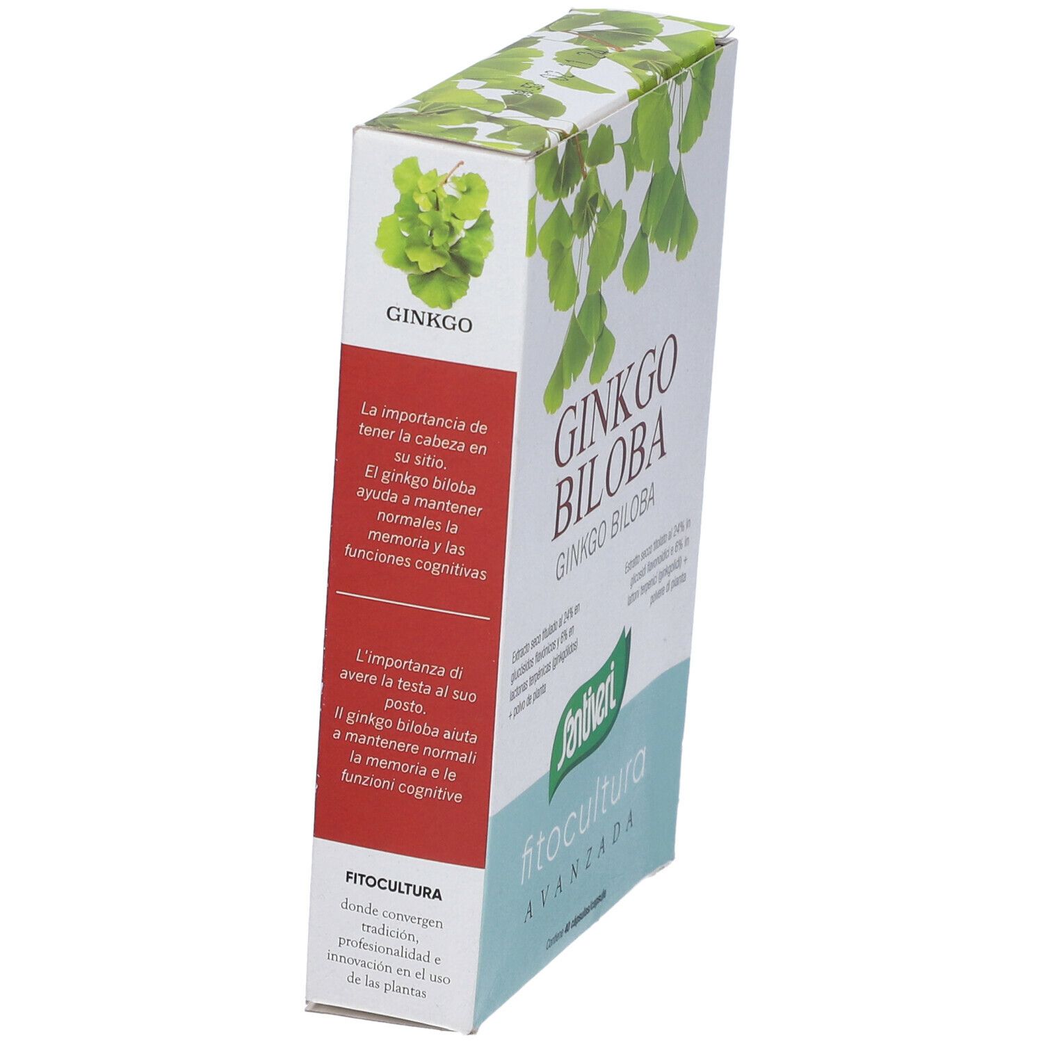 Scatola di Ginkgo Biloba. Scritta: Ginkgo Biloba, Santiveri, Fitocultura. Testo sul retro. Confezione verde e bianca.