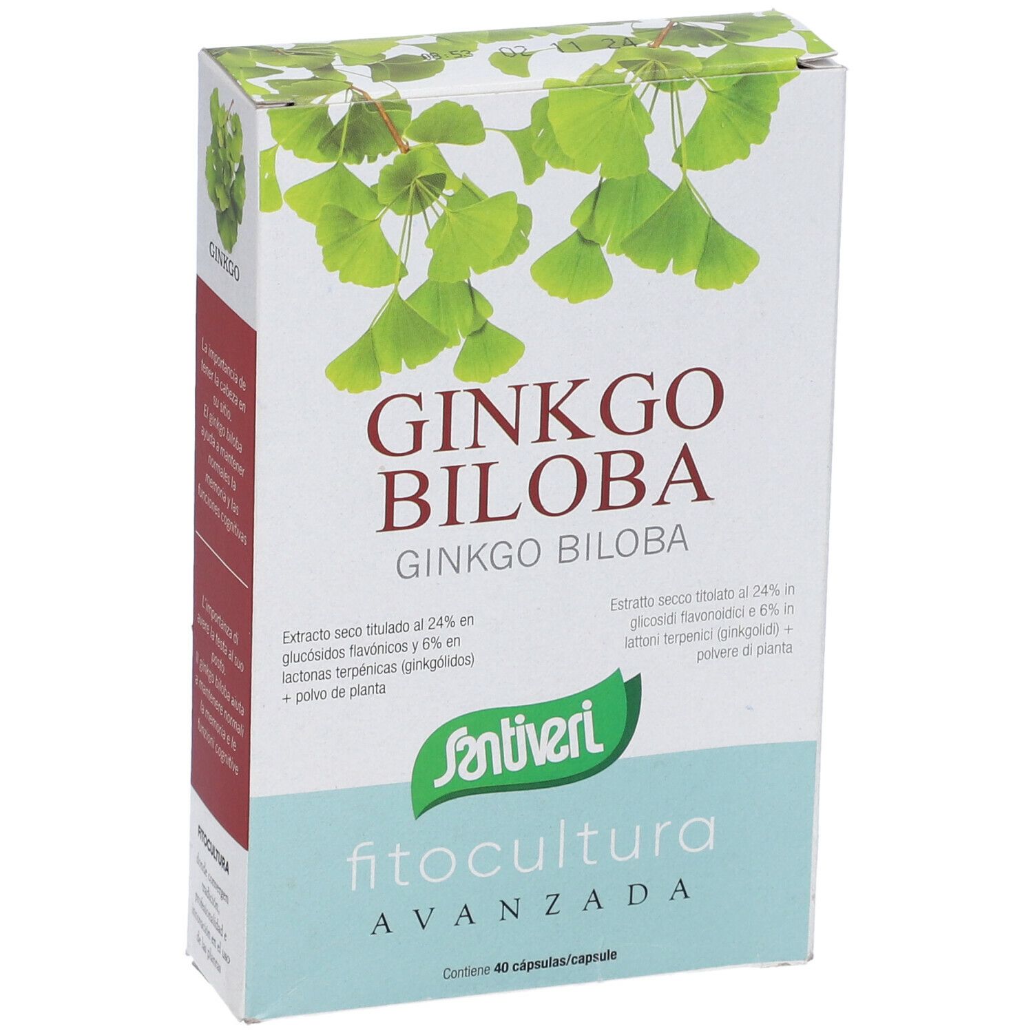 Scatola di Ginkgo Biloba. Scritta: Ginkgo Biloba, Santiveri, Fitocultura. Contiene 40 capsule. Confezione verde e bianca.