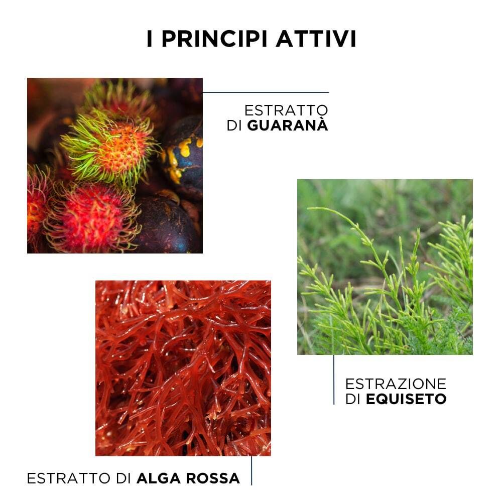 Tre immagini di piante. Testo: I PRINCIPI ATTIVI, Estratto di Guarana, Estratto di Alga Rossa, Estrazione di Equiseto.