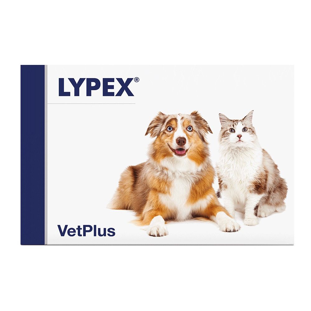 Confezione di Lypex. Sono raffigurati un cane e un gatto. Il nome del marchio è ben visibile.