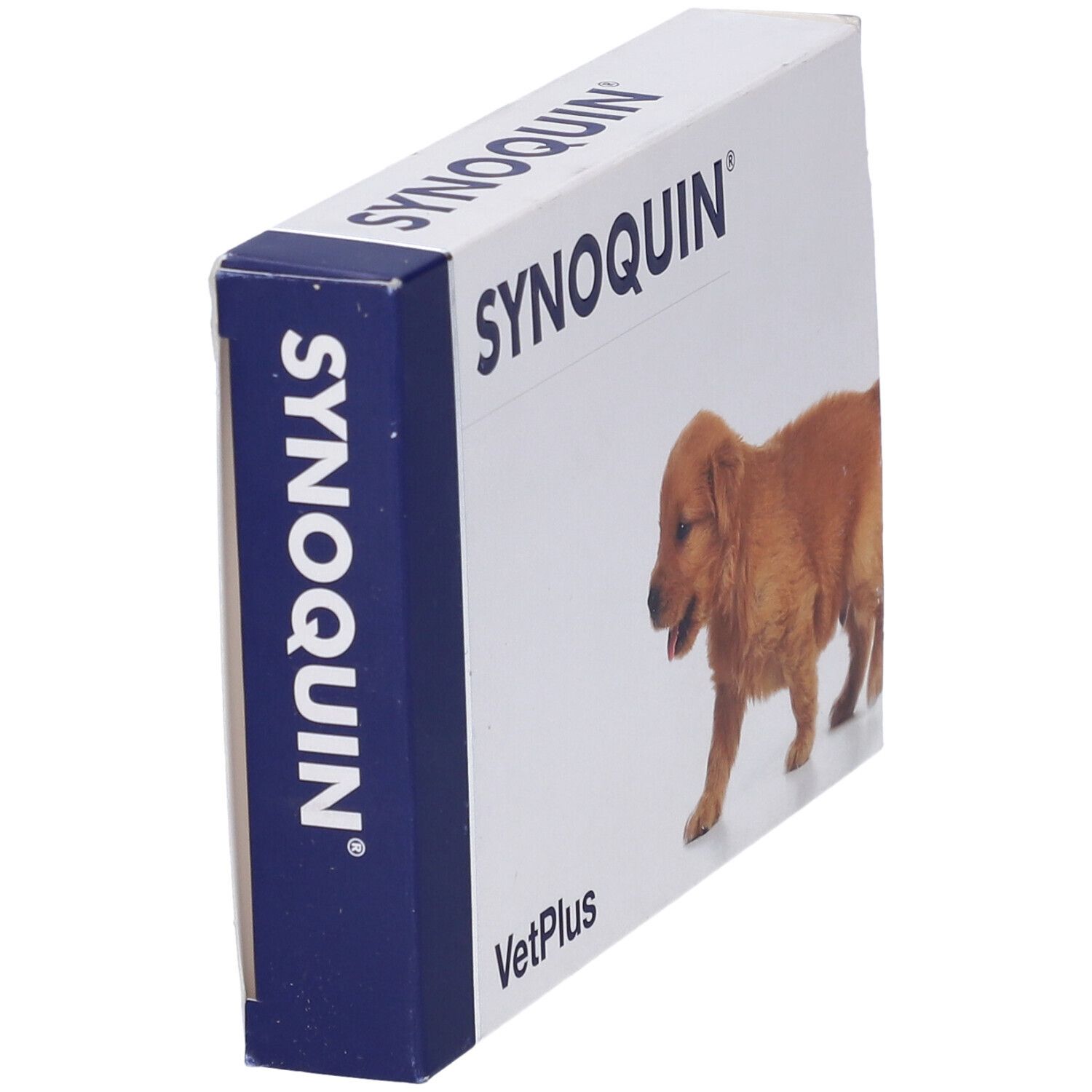 Scatola Synoquin, immagine cucciolo. Accenti blu. Nome e logo VetPlus.