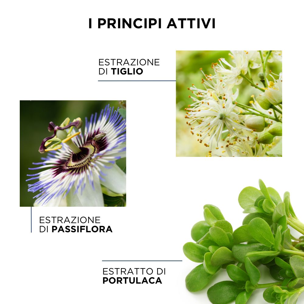 Tre immagini: fiori di tiglio, passiflora e portulaca. Testo: I PRINCIPI ATTIVI.