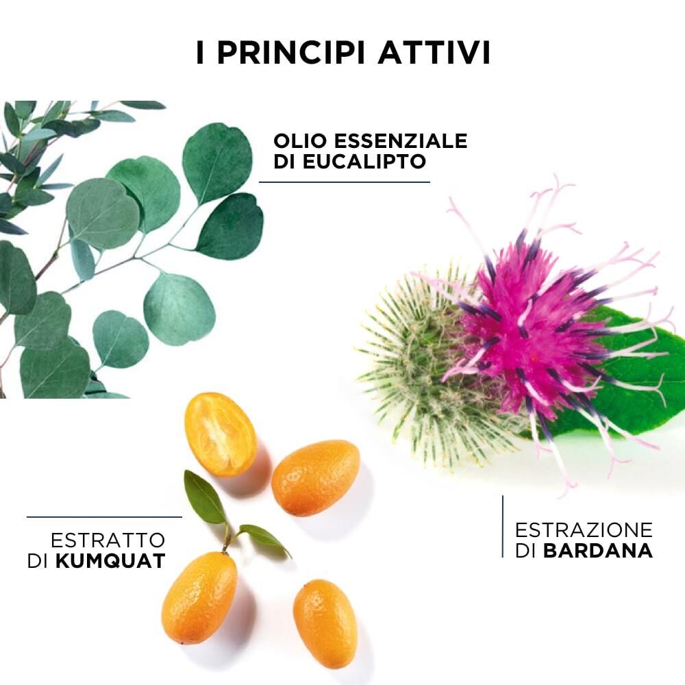 Illustrazione degli ingredienti: olio di eucalipto, kumquat, bardana.