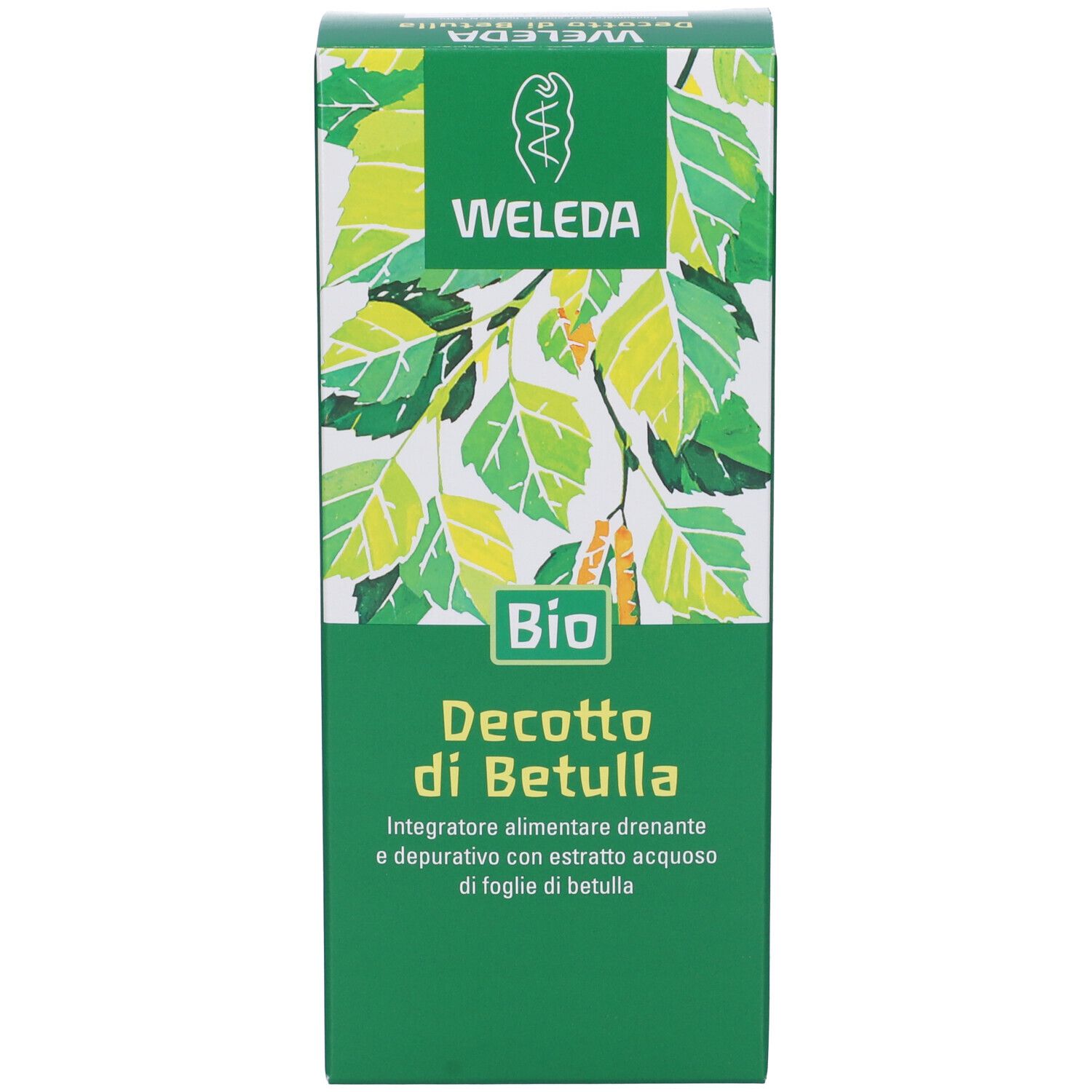 Confezione verde con nome e logo del prodotto. Illustrazione di foglie. Testo: Decotto di Betulla, Bio.