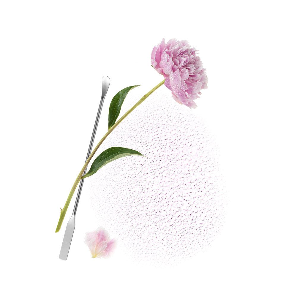 Fiore di peonia con stelo e foglie, accanto a due spatole metalliche. Su sfondo bianco.