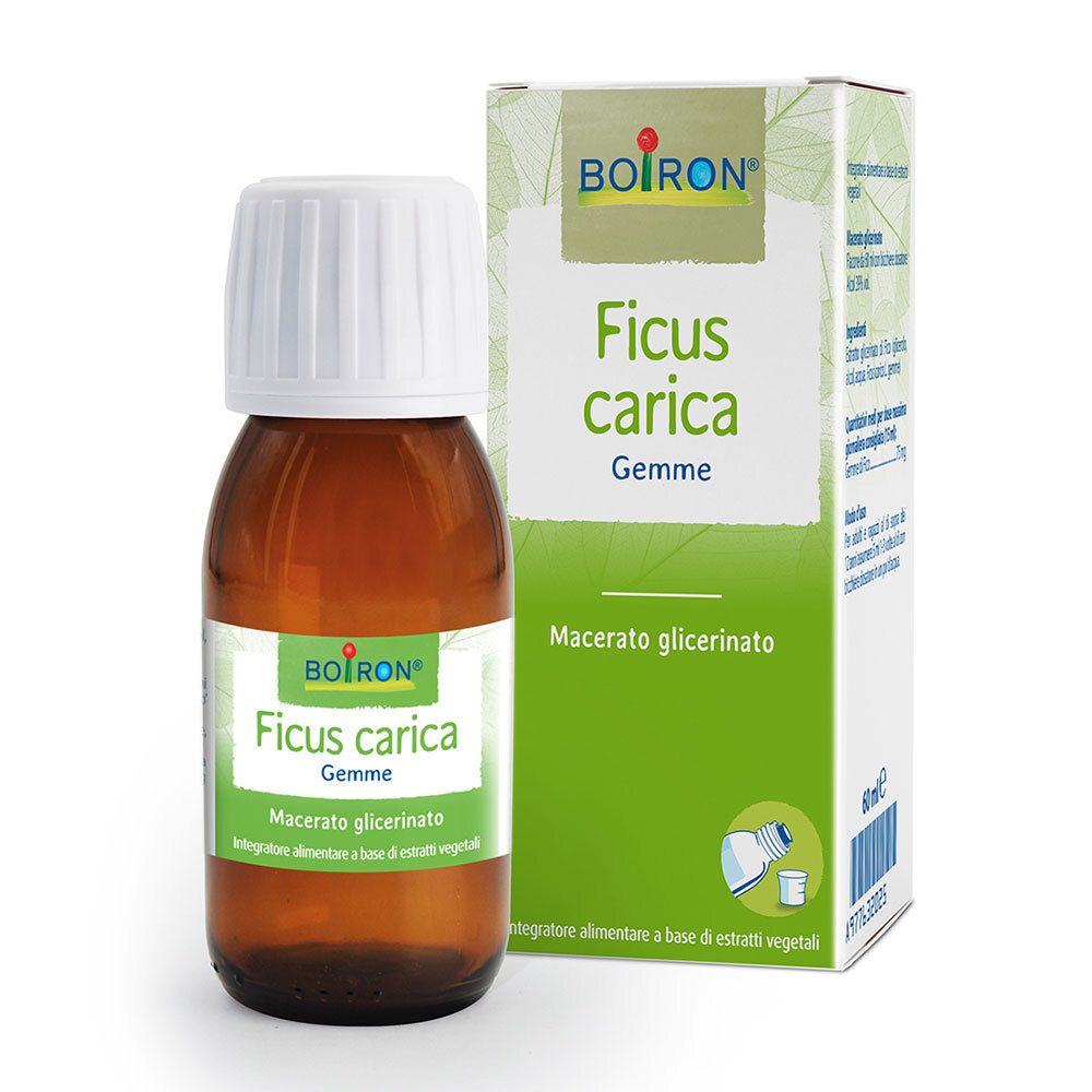 Flacone di vetro marrone con tappo bianco ed etichetta. BOIRON® Ficus carica Gemme, Macerato glicerinato. Confezione verde.