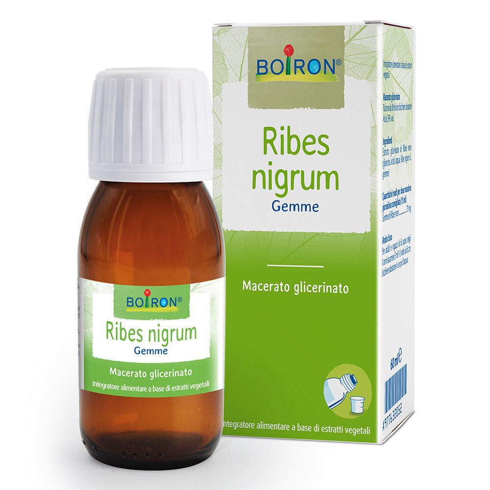 Flacone di vetro marrone con tappo bianco ed etichetta. Scatola verde accanto con informazioni sul prodotto. Scritta: BOIRON Ribes nigrum Gemme.