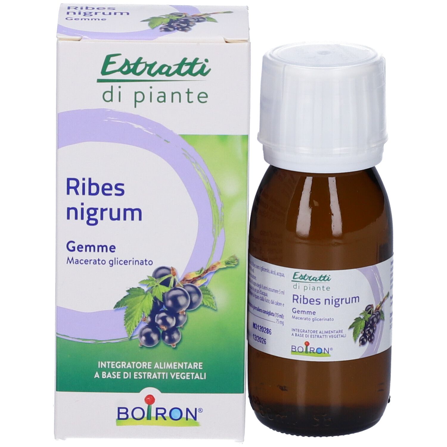 Flacone di vetro marrone con tappo bianco e scatola verde. Scritta: Ribes nigrum Gemme. Illustrazione di ribes neri. BOIRON.
