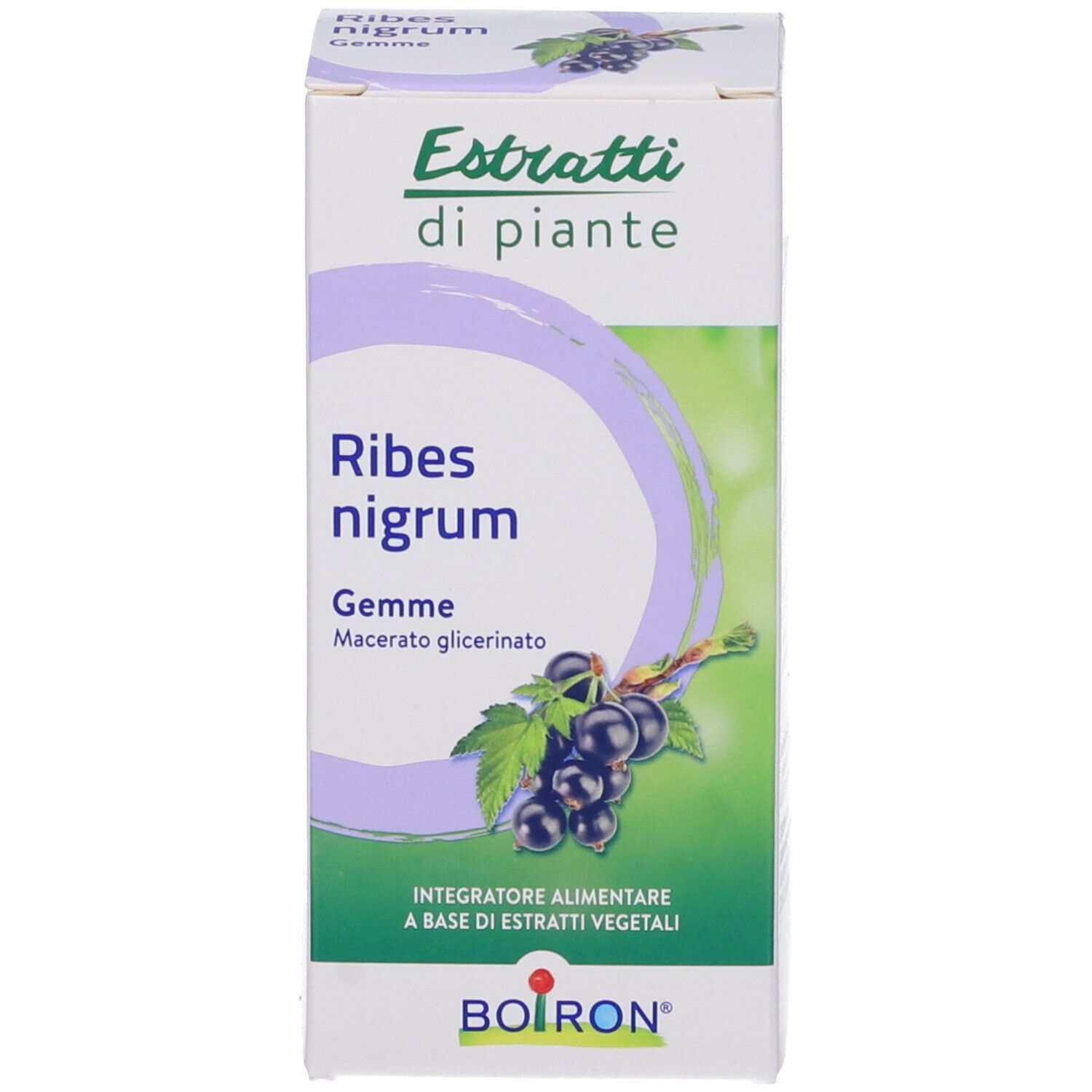 Scatola verde con informazioni sul prodotto. Scritta: Ribes nigrum Gemme. Illustrazione di ribes neri. BOIRON.