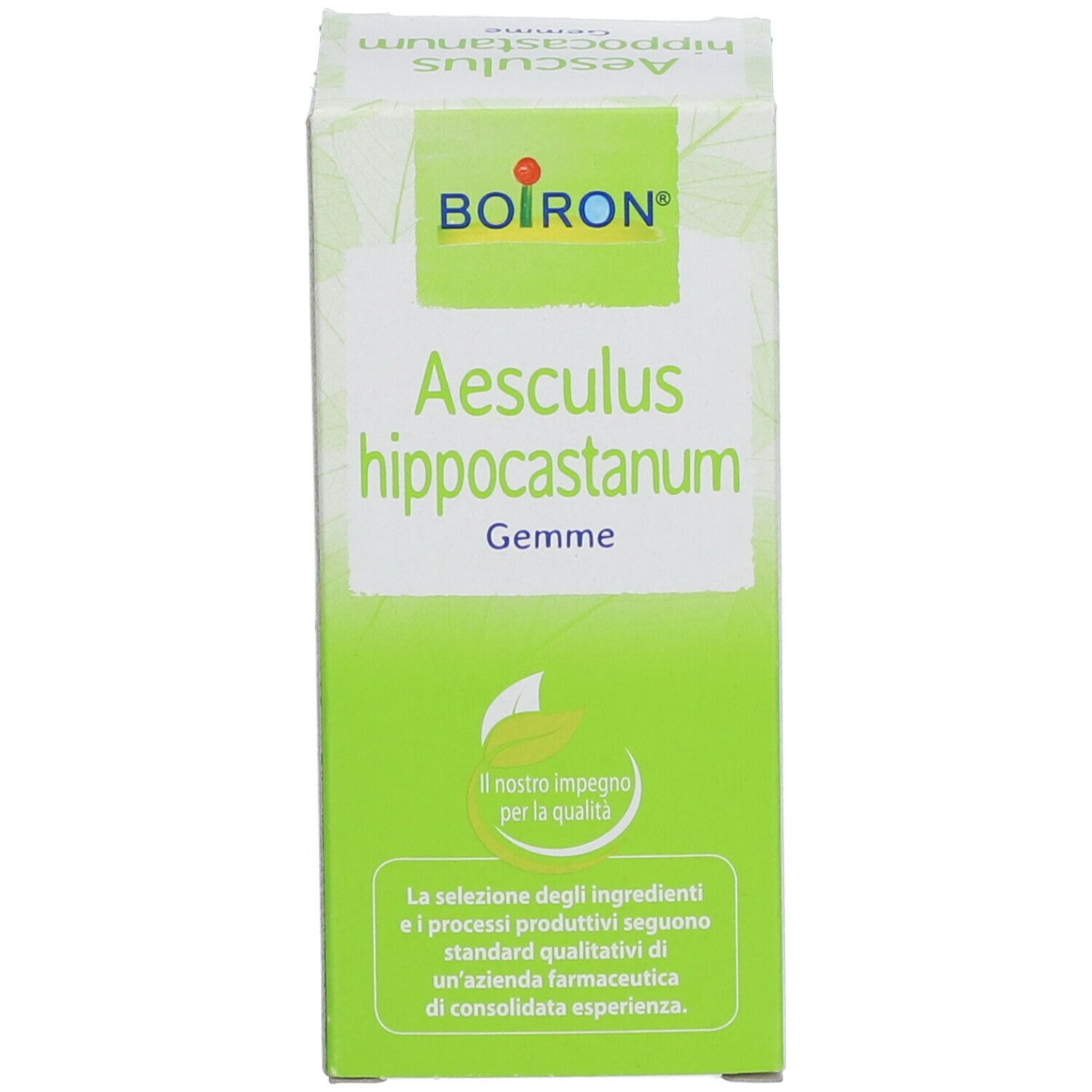 Scatola verde con testo bianco. Sulla scatola: Aesculus hippocastanum Gemme.