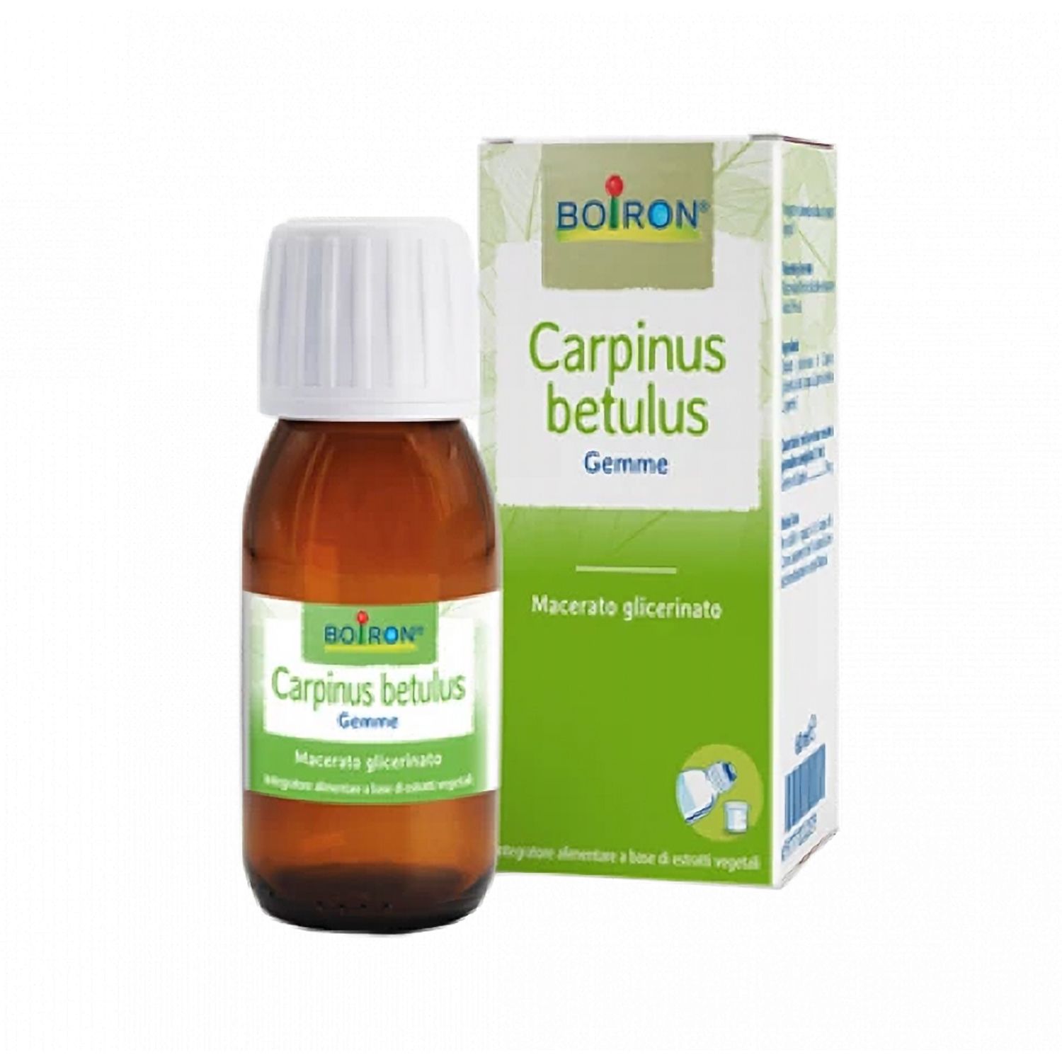 Flacone e scatola di vetro marrone. Scritto: BOIRON Carpinus betulus Gemme. Macerato glicerinato.