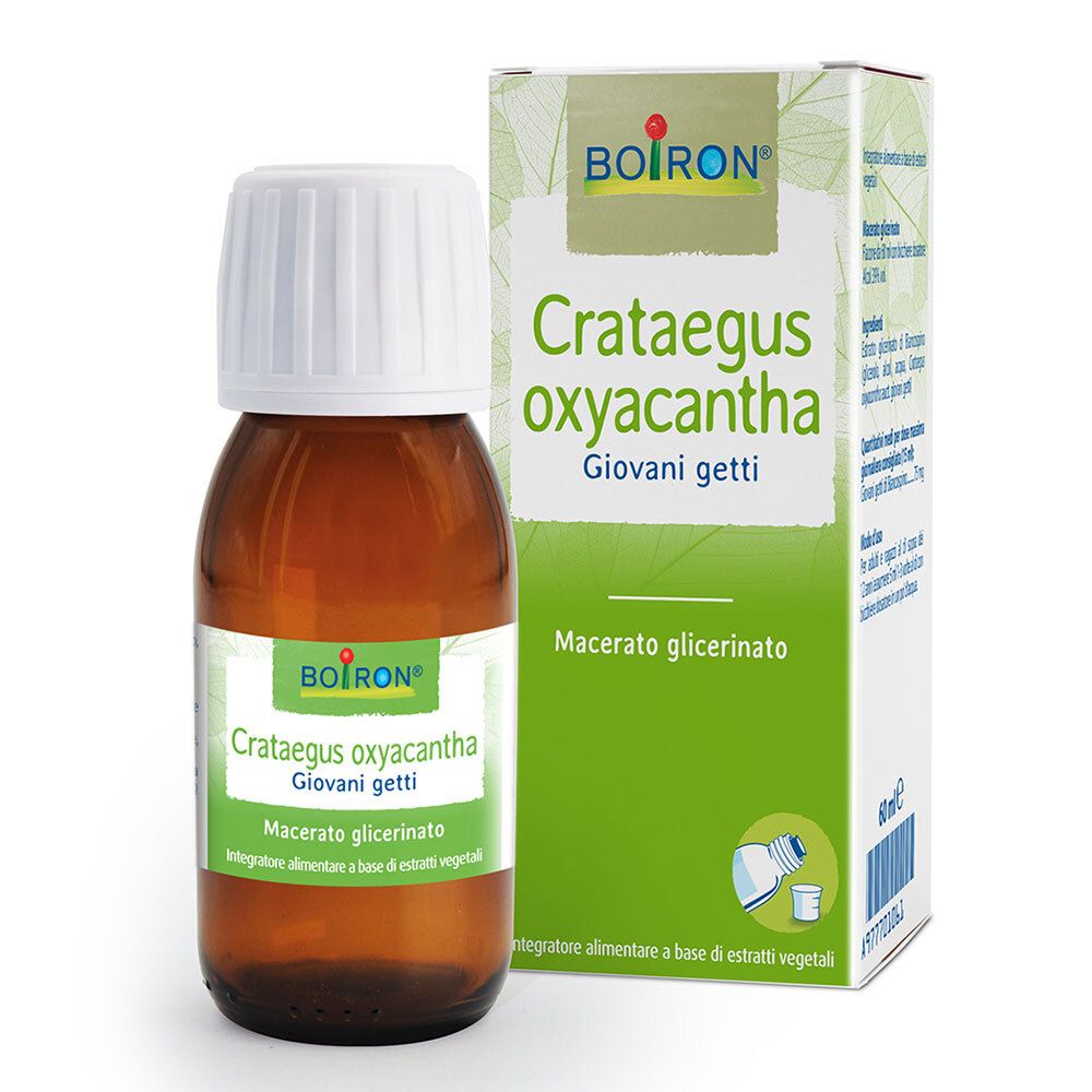 Flacone di vetro marrone con tappo bianco e scatola. Sul flacone e sulla scatola è scritto "BOIRON Crataegus oxyacantha Giovani getti".