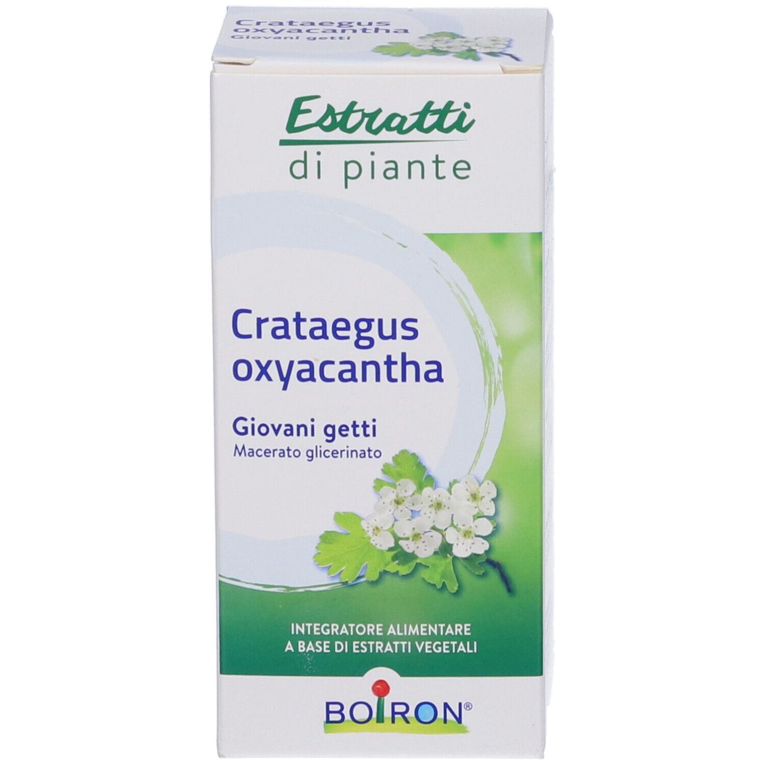 Scatola con la scritta "Crataegus oxyacantha Giovani getti".
