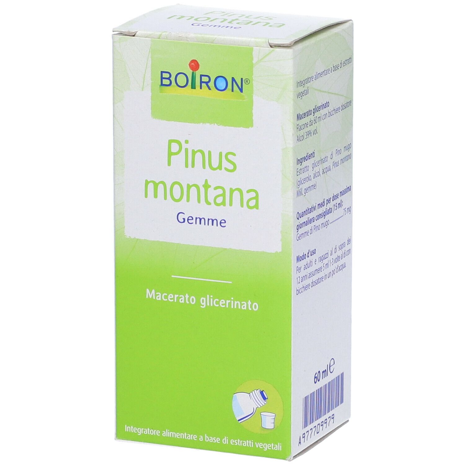 Scatola con scritta: BOIRON Pinus montana Gemme. Macerato glicerinato. Colori verde e bianco. Contiene 60 ml.