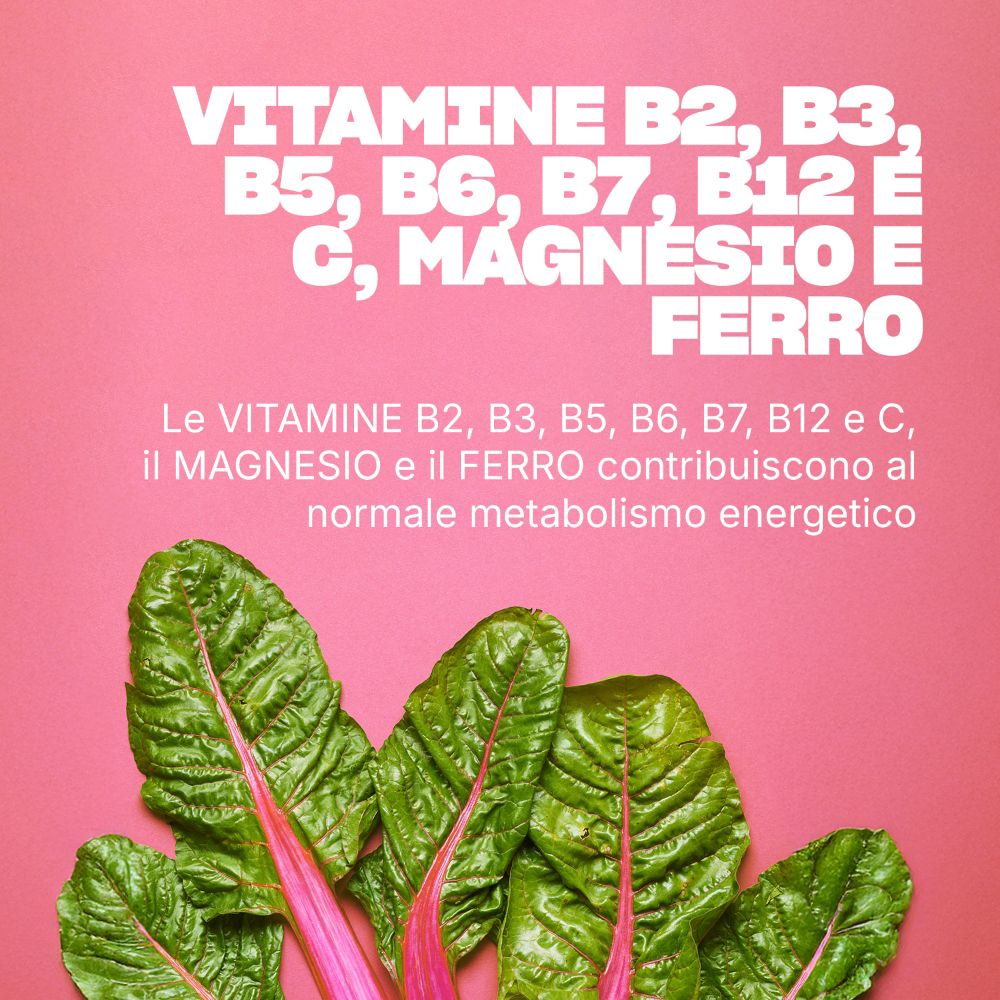 Vitamine B, Magnesium und Eisen für den Energiestoffwechsel, mit Illustration von Mangold.