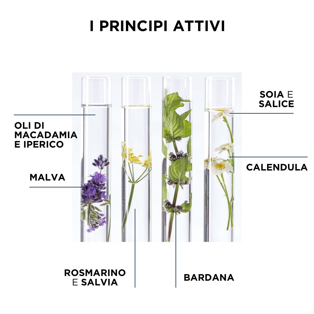 Vier Reagenzgläser mit Pflanzen. Beschriftung: Olio di Macadamia, Malva, Rosmarino, Bardana, Soia e Salice, Calendula.