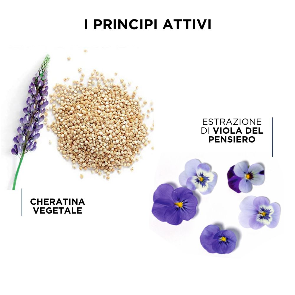 Illustrazione degli ingredienti: fiore di lupino, semi di quinoa, fiori di viola.