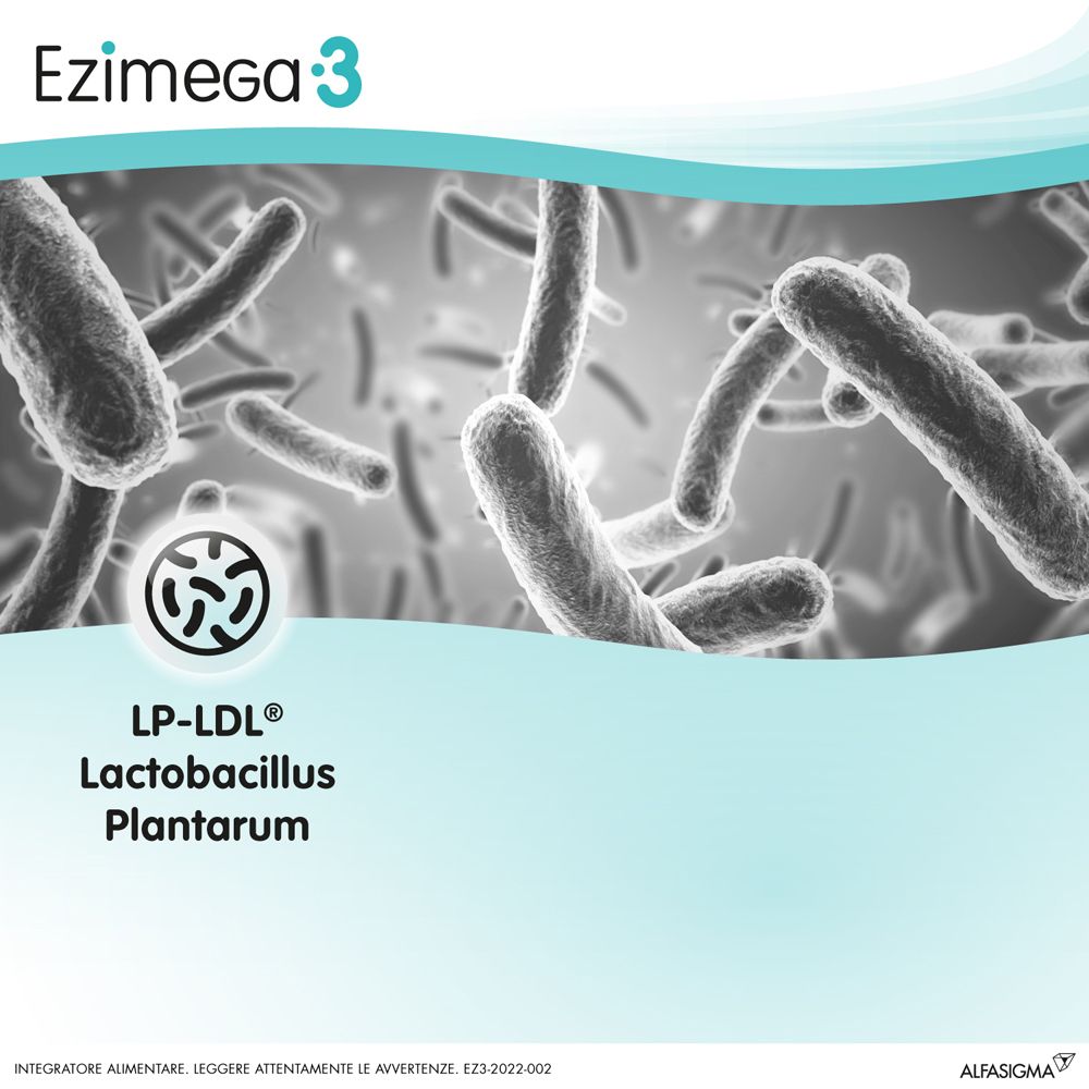 Immagine di microrganismi. Testo: LP-LDL Lactobacillus Plantarum.