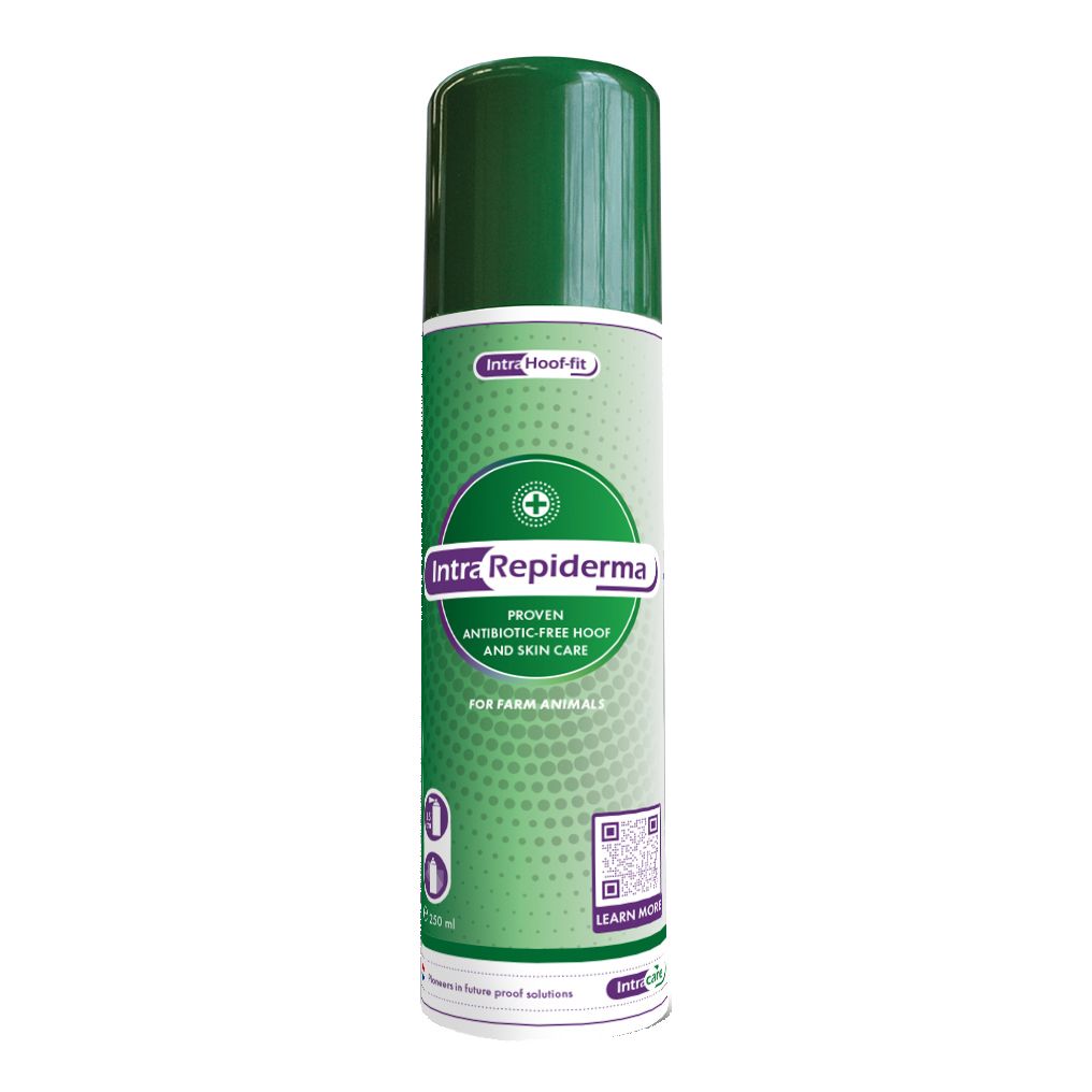 Bomboletta spray verde con scritte bianche e verdi. Testo: Intra Repiderma, cura dei piedi e della pelle senza antibiotici per animali.