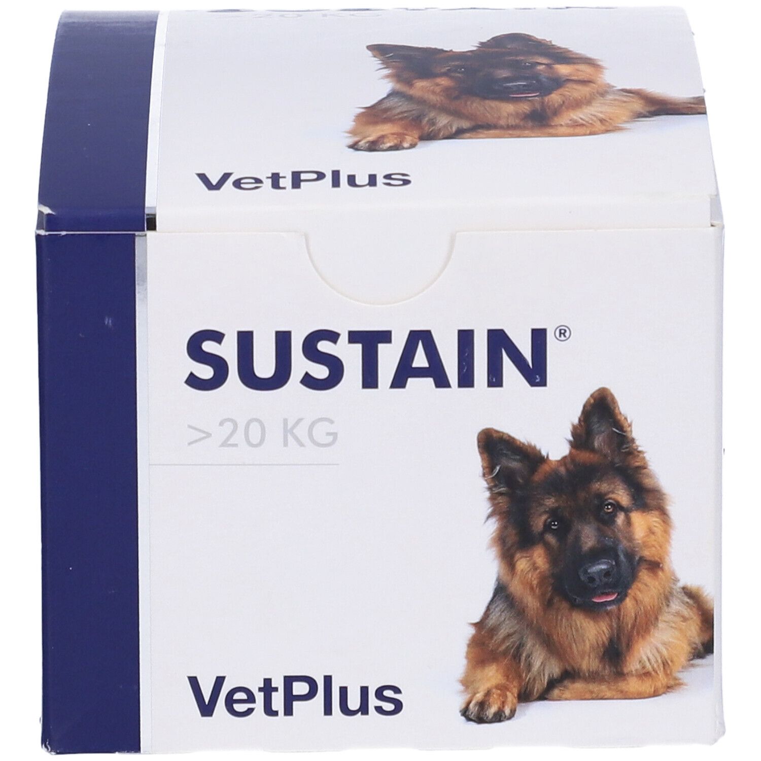 Confezione del prodotto Sustain. Scritta: Sustain, >20 KG, VetPlus. Immagine di un cane. Scatola con testo e cane.