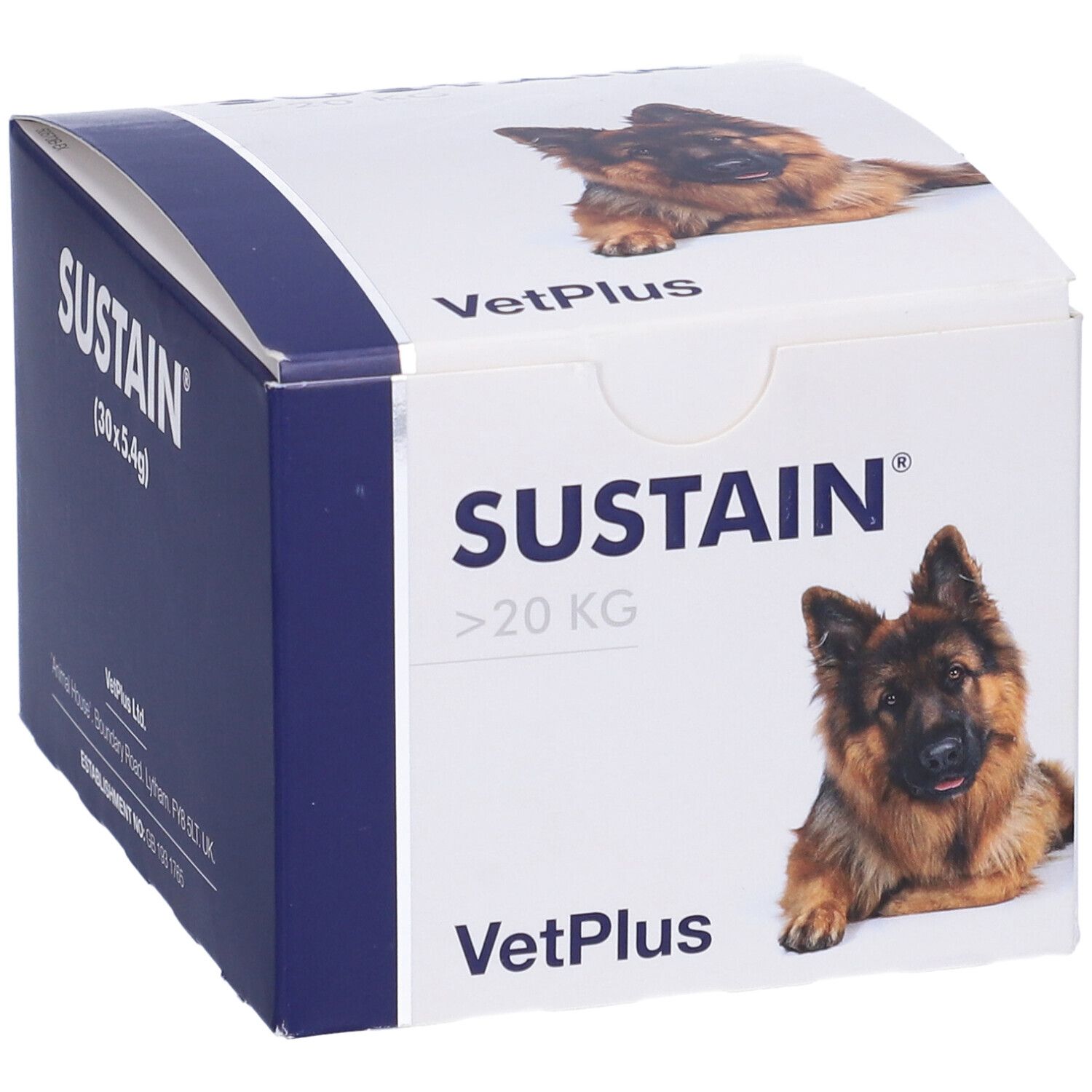 Confezione del prodotto Sustain. Scritta: Sustain, >20 KG, VetPlus. Immagine di un cane. Scatola con testo e cane.