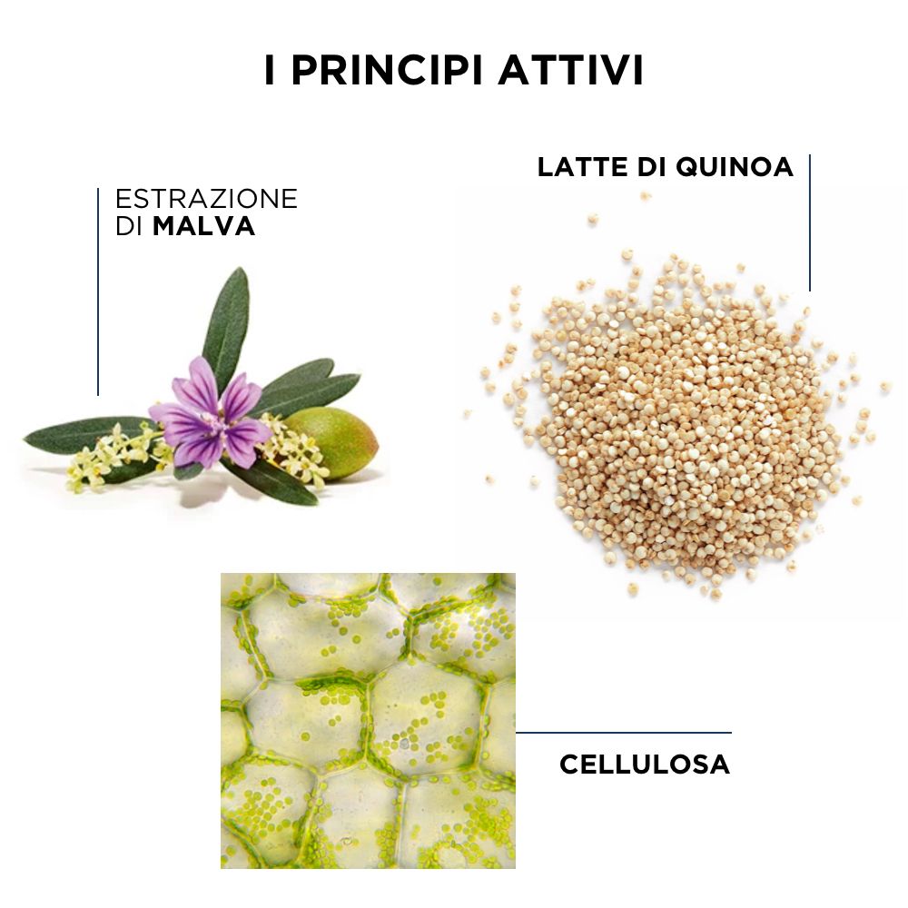 Illustrazione ingredienti: estratto di malva, latte di quinoa, cellulosa.